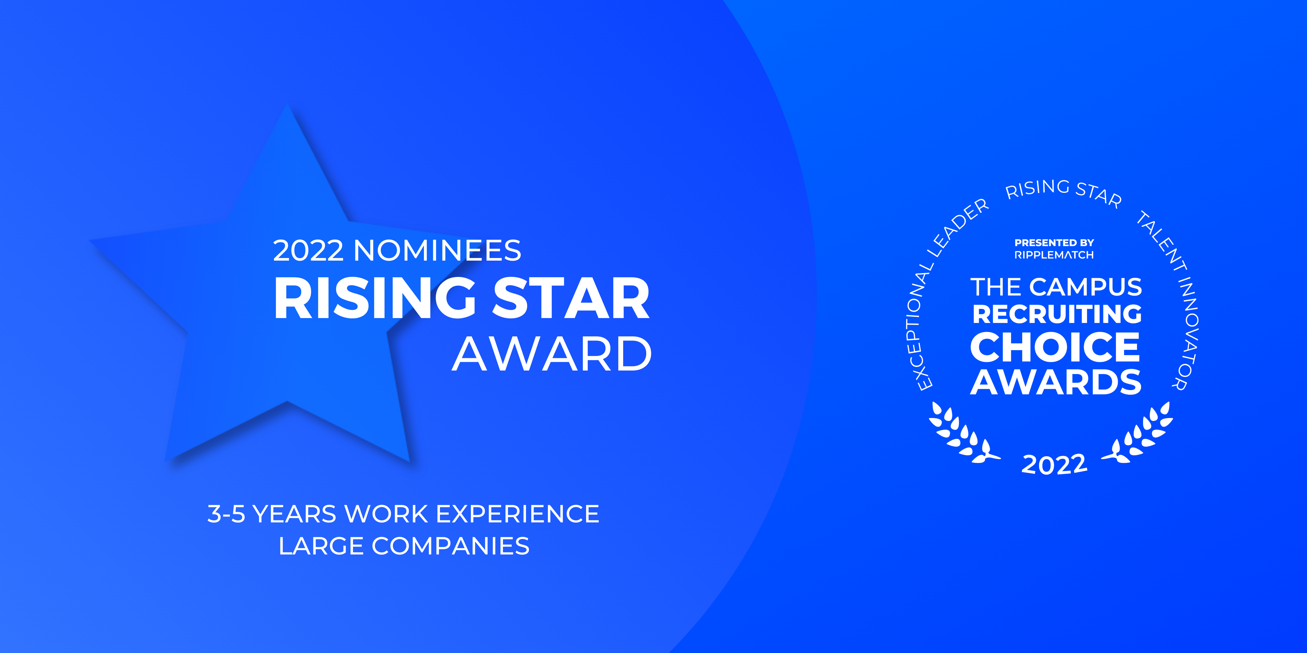 Rising Star Award 35 Years Work Experience, Large Companies 2022